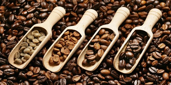 خرید عمده قهوه